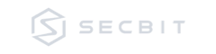security-audit